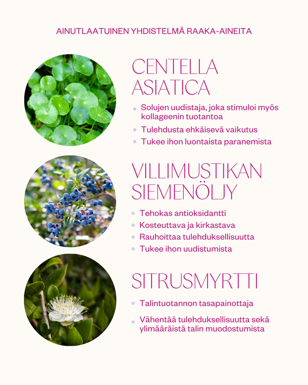 BILBERRY & CENTELLA CREAM 50 ml – tasapainottava kasvovoide rasvoittuvalle iholle