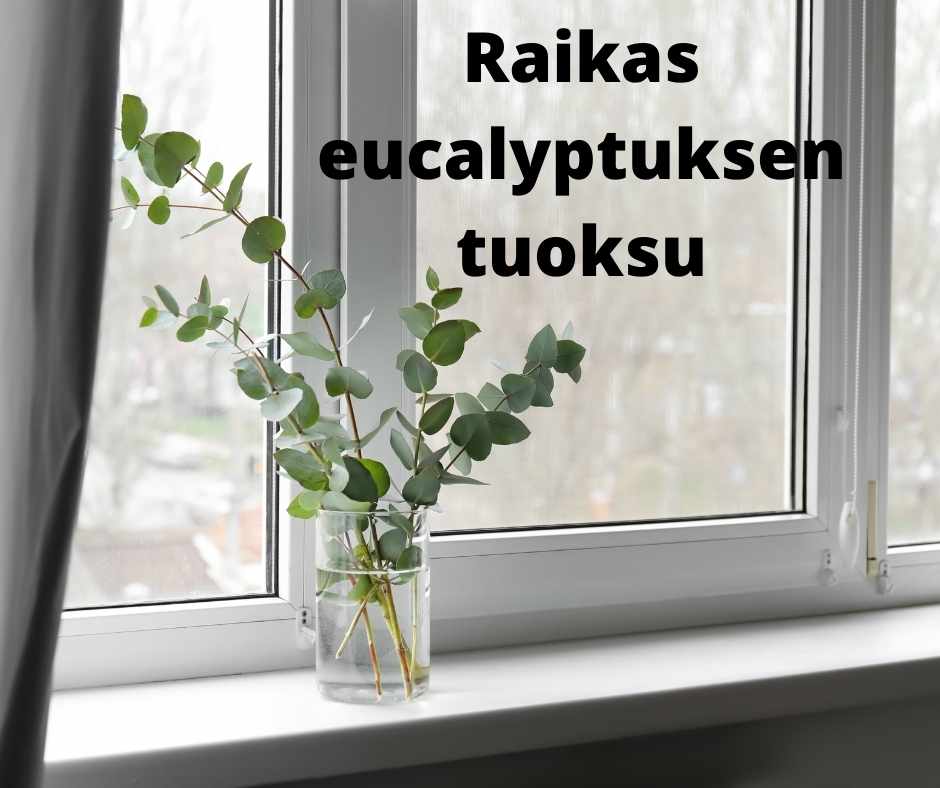 EUCA® SIIVOUSSUIHKE 500 ML – Ekologinen Raikastava Pikapuhdistaja 🇫🇮