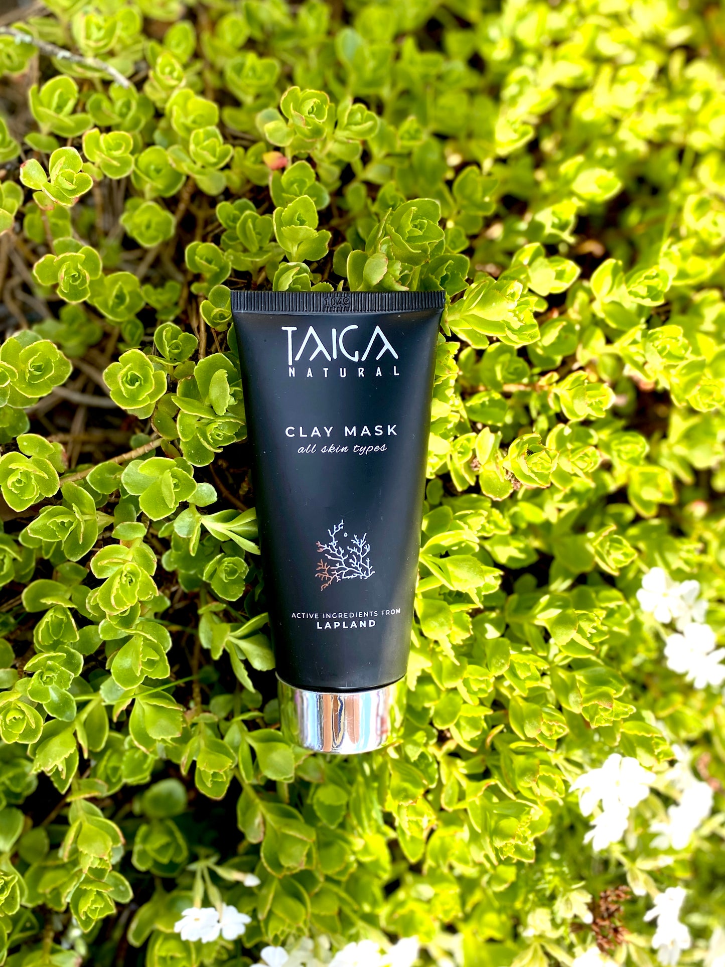 TAIGA CLAY MASK All Skin Types -syväpuhdistava savinaamio, 75 ml