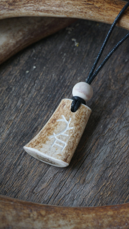 PORO -Poronsarviriipus