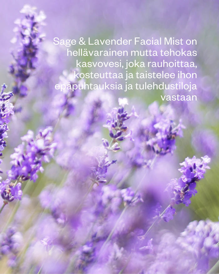 SAGE & LAVENDER FACIAL MIST 100 ml - tasapainottava kasvovesi rasvoittuvalle iholle